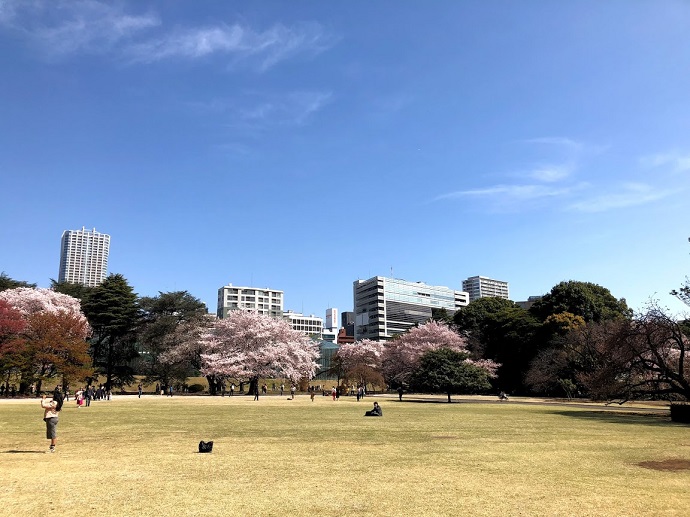 子供 が 好き な 副 菜