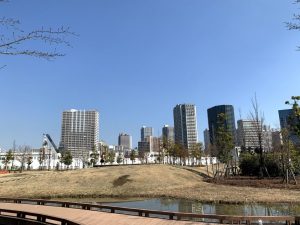 芝浦中央公園から東側を望む