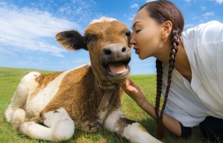 女性と子牛