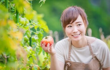 トマトを栽培する女性