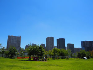 芝浦中央公園から東側を望む。奥に見えるのは港南のタワマン群。