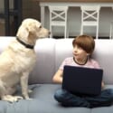 男の子とソファに座る犬