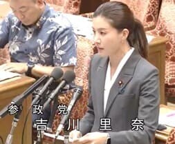 居住目的外の外国人投資