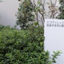 記事画像