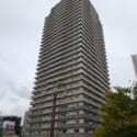 記事画像