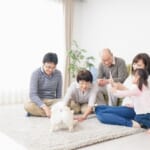 家族で犬と遊ぶ幸せな三世代ファミリー