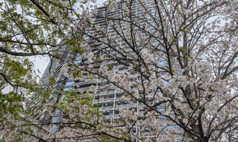 グローバルフロントタワー　2026年4月時点の相場 ～街の利便性が大きく向上からの相場は大きく上昇～【マンションマニア】