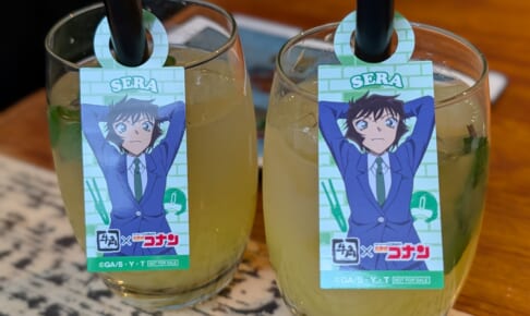単身若年層におすすめ！ ザ・パークハウス門前仲町の1DKが販売開始！【マンションマニア】