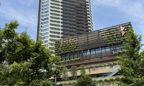 武蔵小杉のタワマン相場 2026年8月編 ～中古マンションの価格も上昇傾向～【マンションマニア】