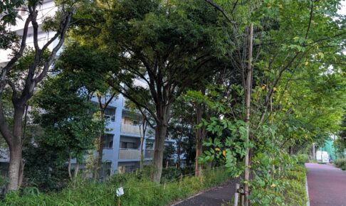 しながわ公園パーク・ホームズ　2026年8月時点の相場 ～立会川駅徒歩6分×しながわ区民公園隣接～【マンションマニア】