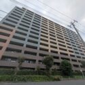 記事画像